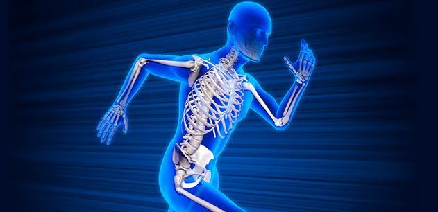 allograft bone