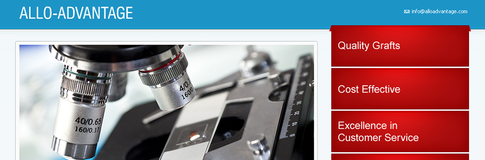 San Antonio Web Design