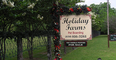 Holiday Farms Boerne
