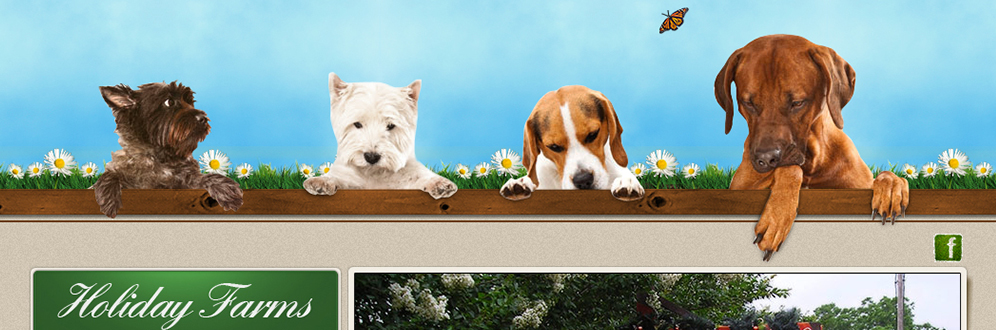 San Antonio Web Design